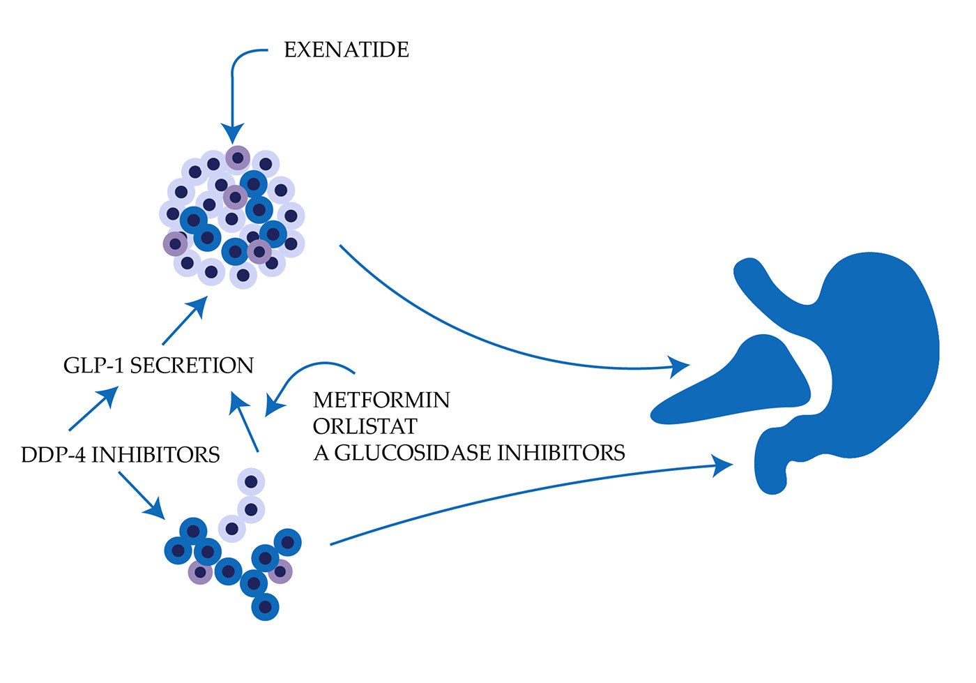 Exenatide